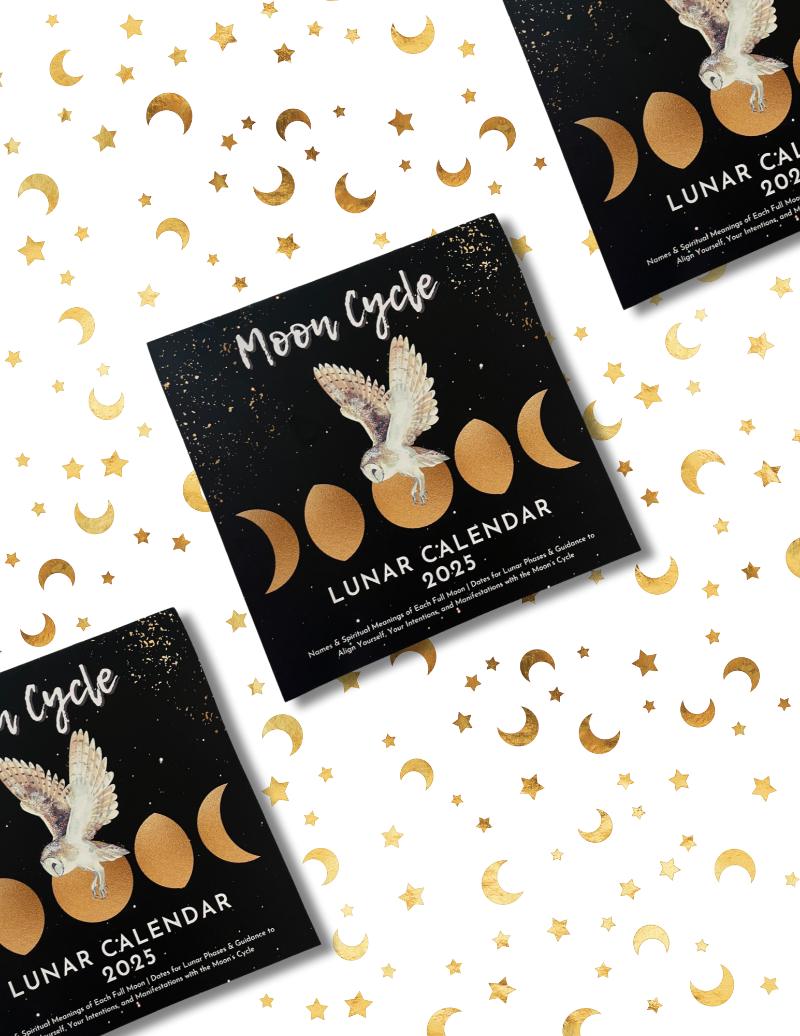 2025 Full Moon Lunar Wall Calendar Multiple
