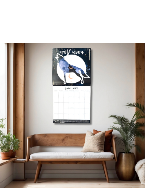 2025 Full Moon Lunar Wall Calendar on Wall