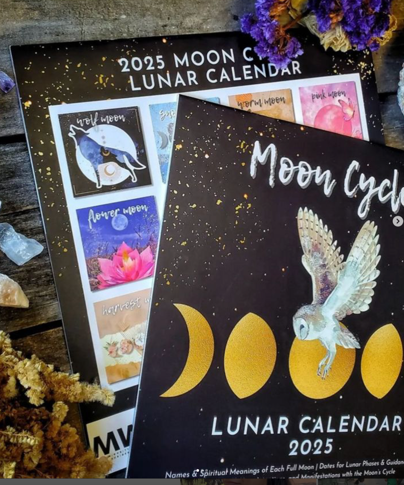 2025 Full Moon Lunar Wall Calendar